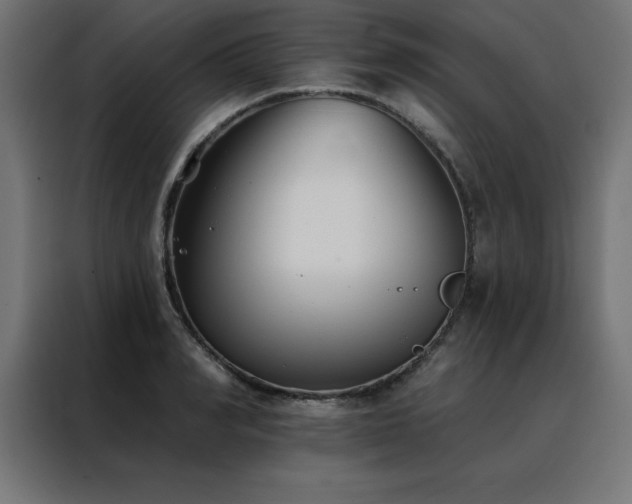X0000088490990200705221423