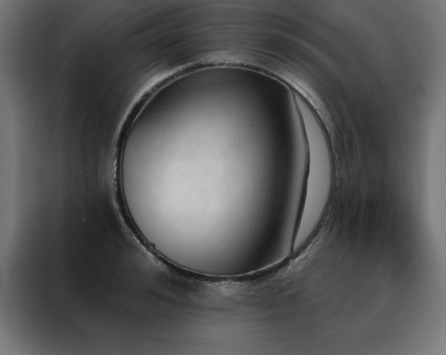X0000088490992200705221423