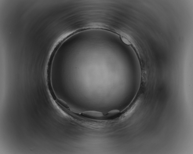 X0000088490995200705221423
