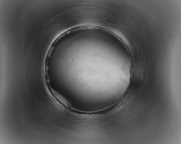 X0000088490996200705221423