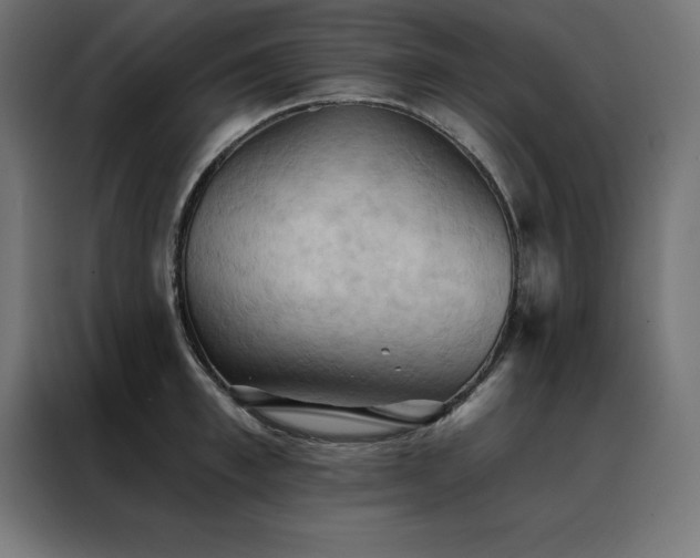 X0000088490997200705221423