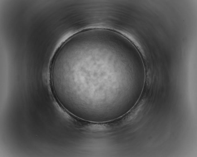 X0000088490998200705221423
