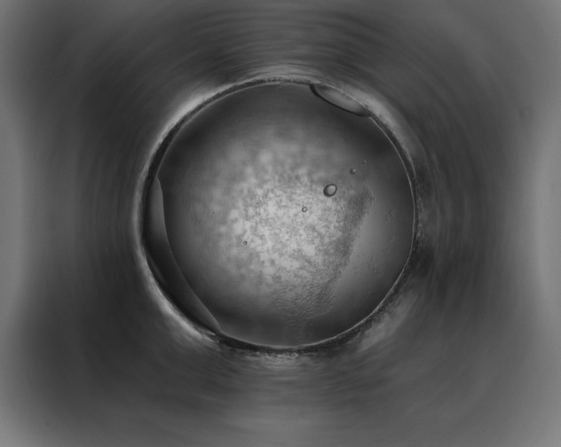 X0000088490999200705221423