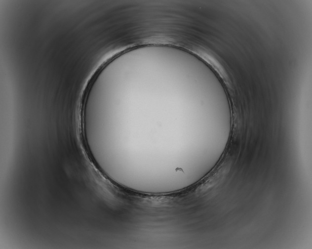 X0000088491000200705221423