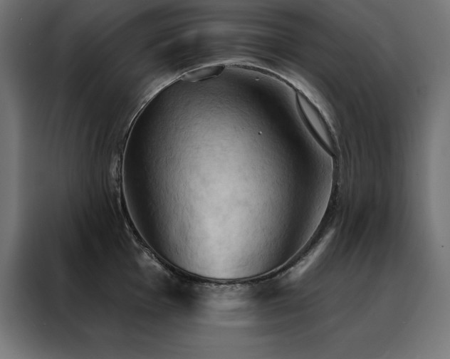 X0000088491001200705221423