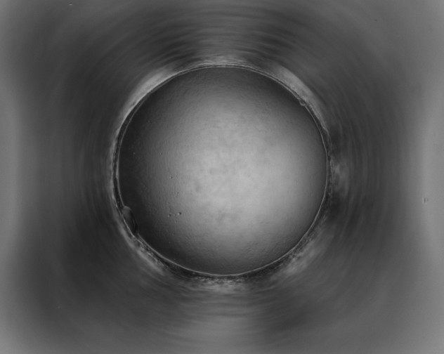 X0000088491002200705221423
