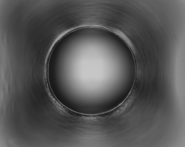 X0000088491004200705221423