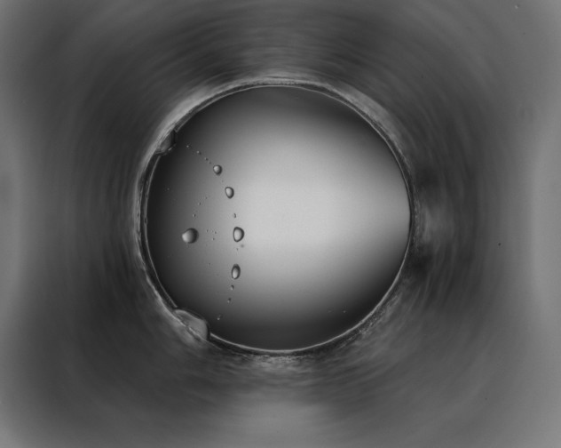 X0000088491006200705221423