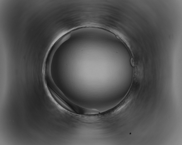 X0000088491007200705221423