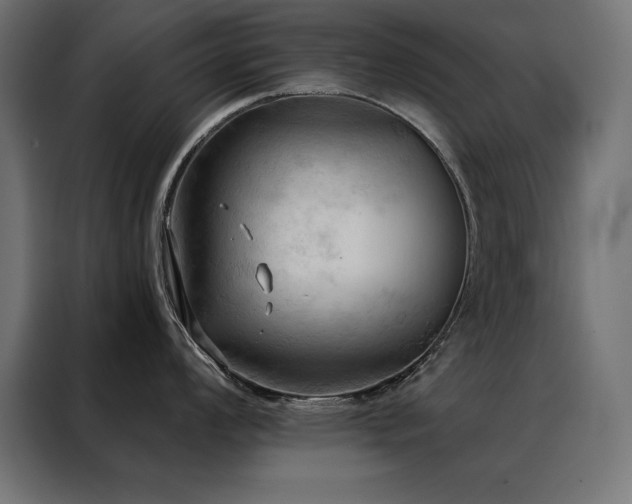 X0000088491008200705221423