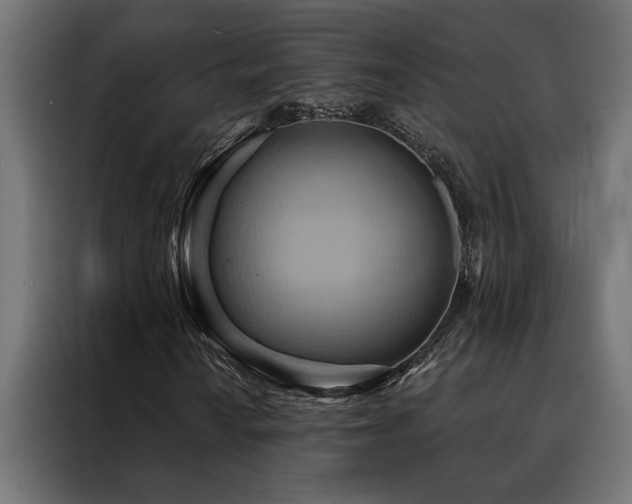X0000088491010200705221422