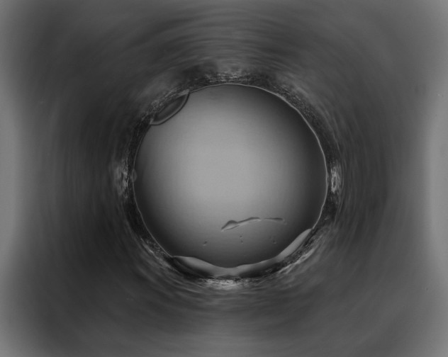 X0000088491011200705221422