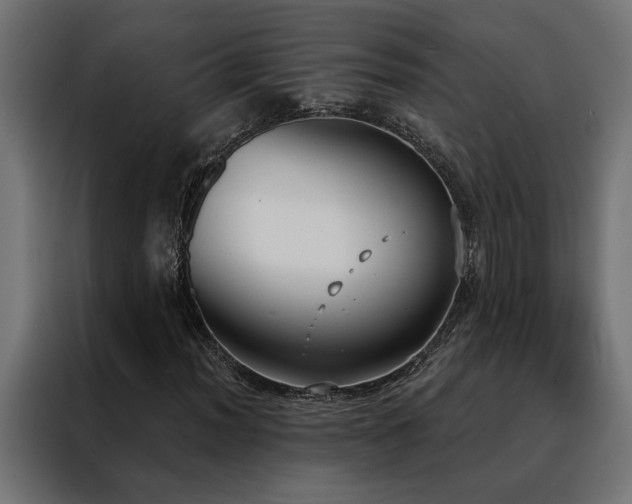X0000088491012200705221422