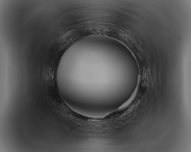 X0000088491013200705221422