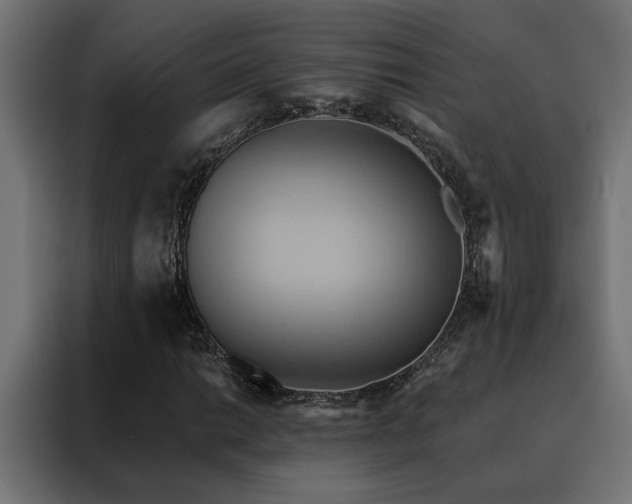 X0000088491014200705221422