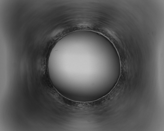 X0000088491015200705221422