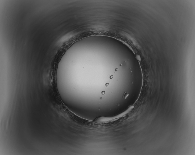 X0000088491016200705221422