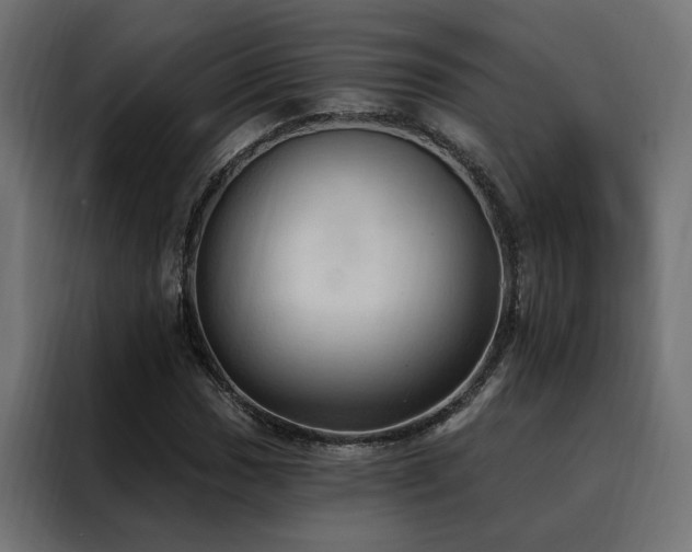 X0000088491017200705221422