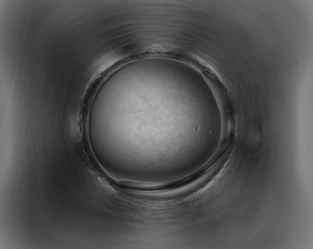 X0000088491018200705221422