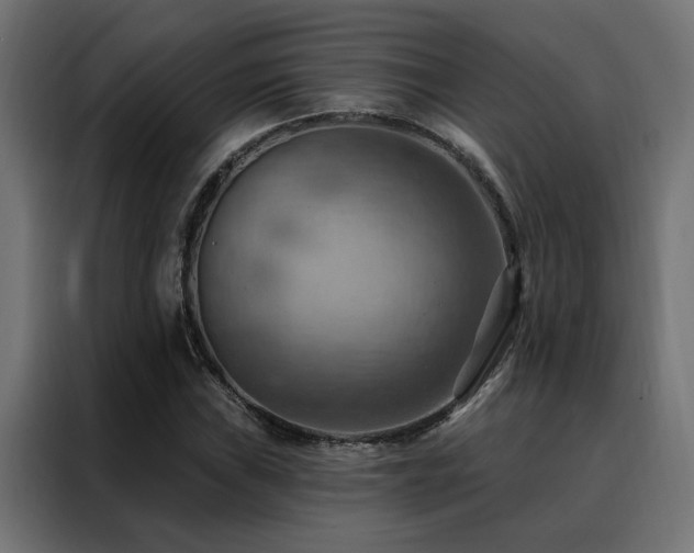 X0000088491019200705221422