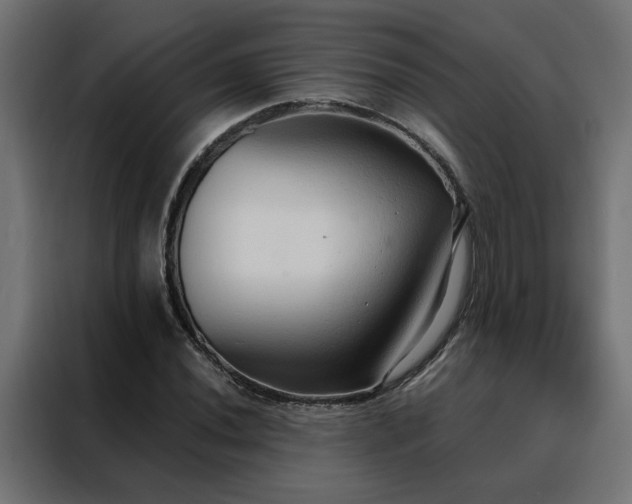 X0000088491020200705221422