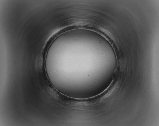 X0000088491021200705221423
