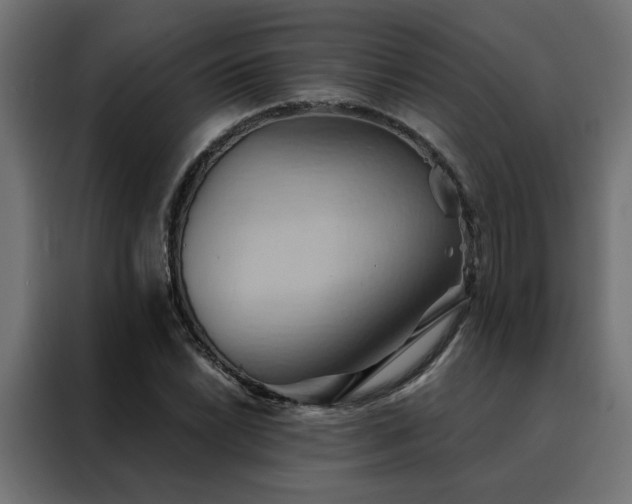 X0000088491022200705221423