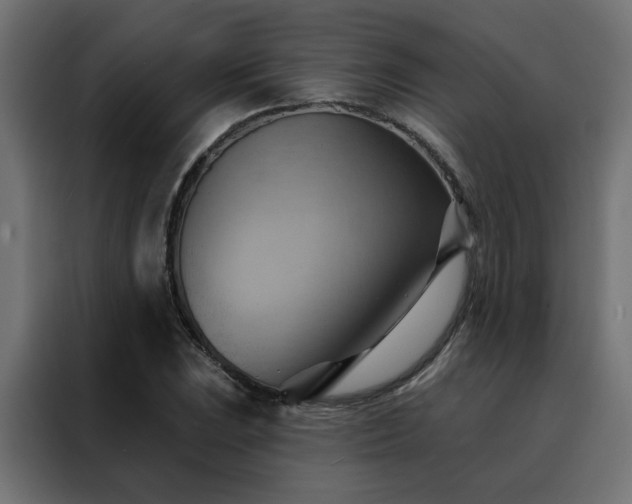 X0000088491023200705221423