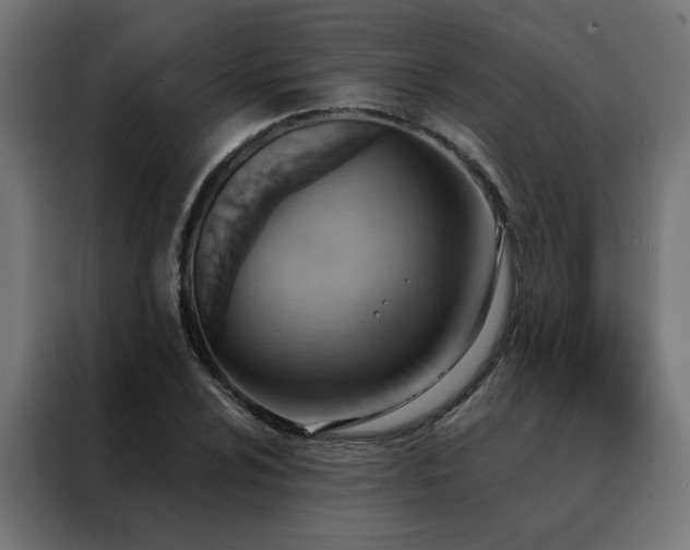 X0000088491024200705221423
