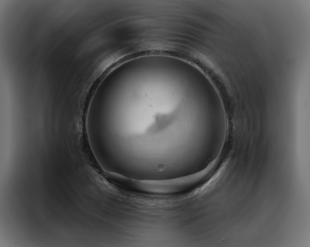 X0000088491025200705221423