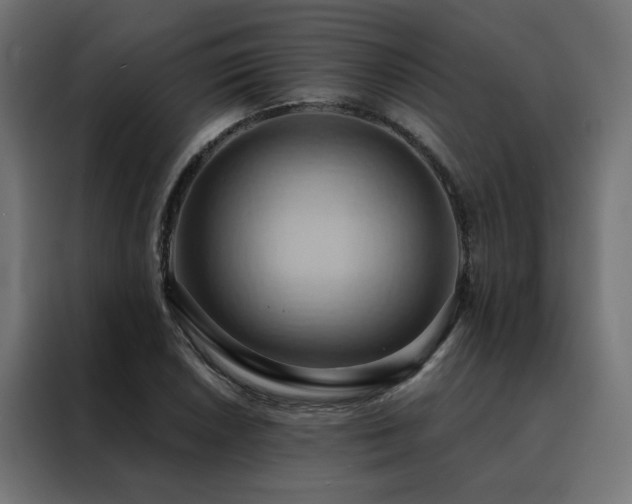 X0000088491026200705221423