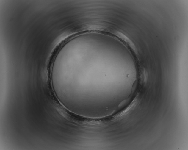 X0000088491027200705221423
