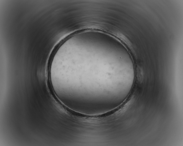 X0000088491028200705221423