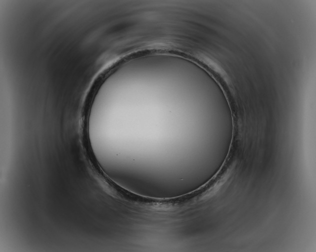 X0000088491029200705221423