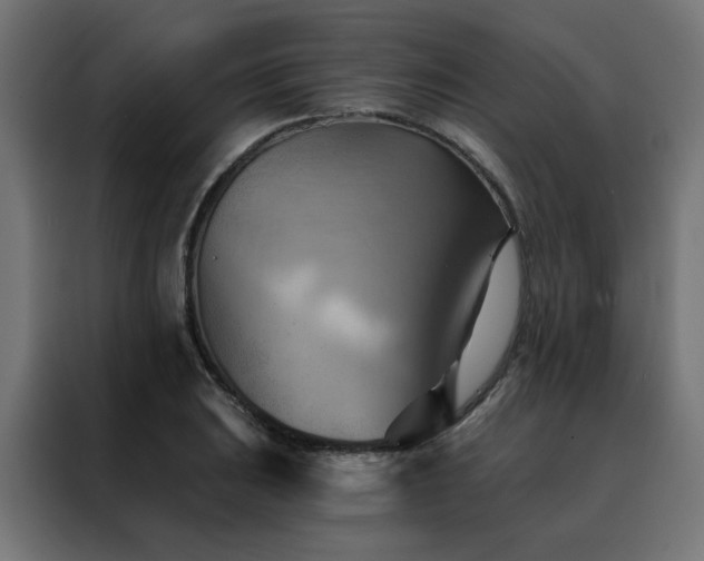 X0000088491031200705221423