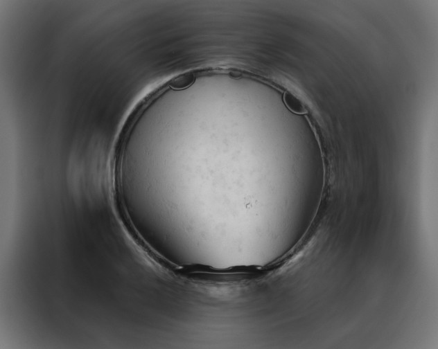 X0000088491032200705221423