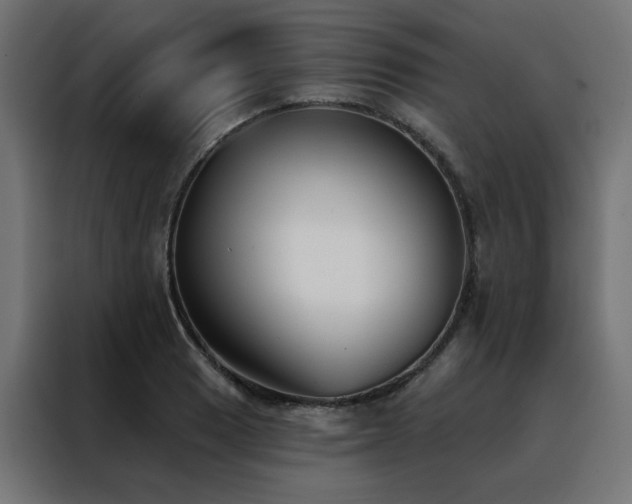 X0000088491033200705221423