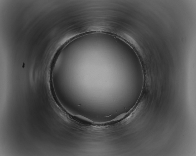 X0000088491035200705221423