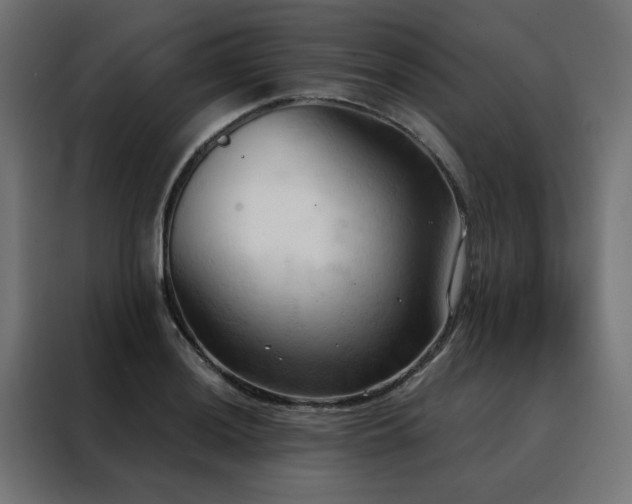 X0000088491036200705221423
