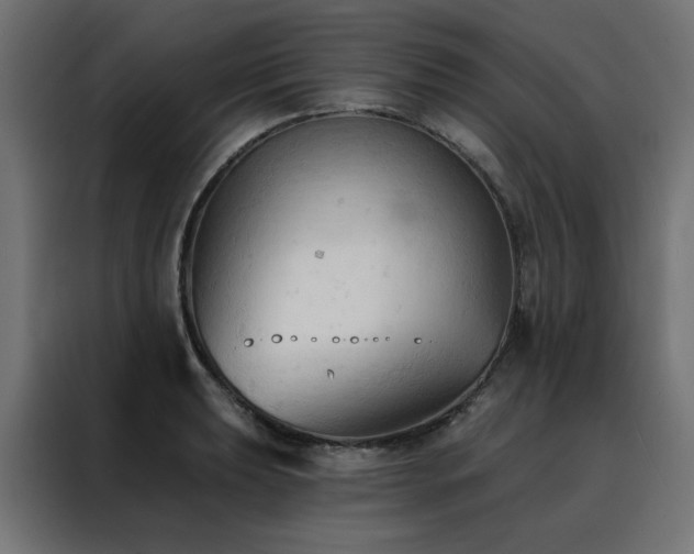X0000088491039200705221423