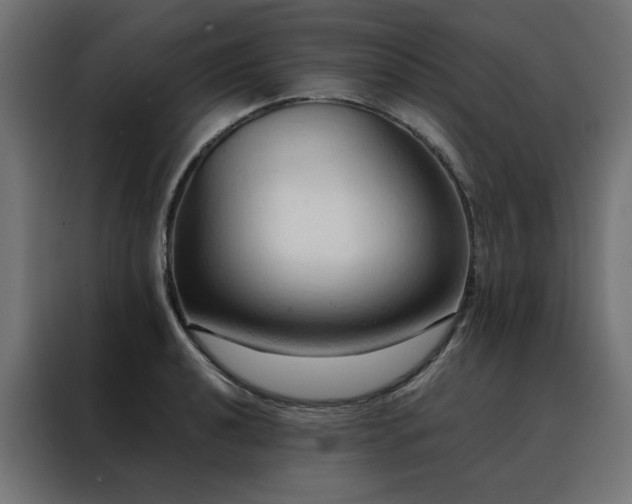 X0000088491040200705221423