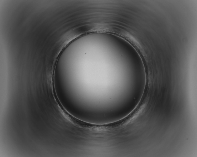 X0000088491041200705221423