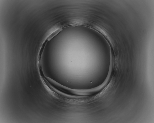 X0000088491042200705221423