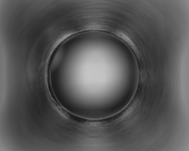 X0000088491043200705221423