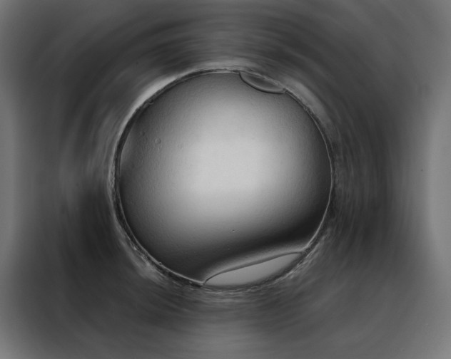 X0000088491044200705221423