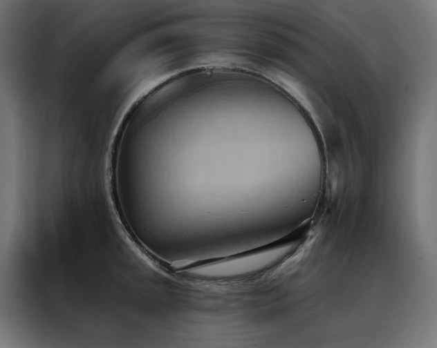 X0000088491045200705221423