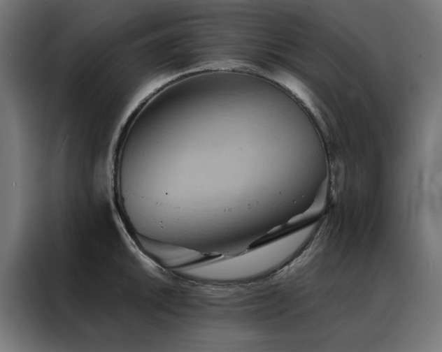 X0000088491046200705221423