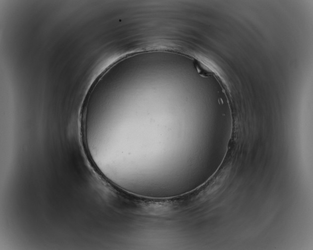 X0000088491047200705221423