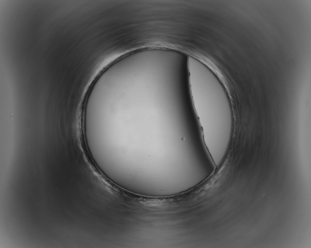 X0000088491048200705221423