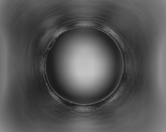 X0000088491049200705221423